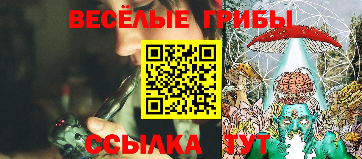 Псилоцибиновые грибы GOLDEN TEACHER  Вход с VPN  Электросталь 